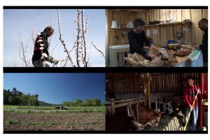 documentaire - Terroir Pays de Saint Félicien